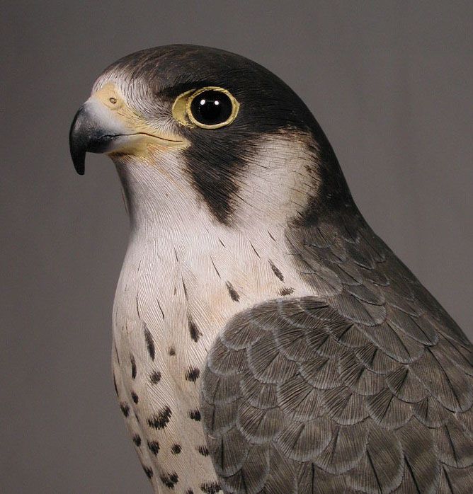 15 Peregrine Falcon Original Bird Carving Wood/Birdhug  